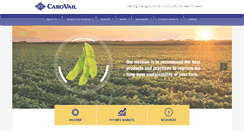 Desktop Screenshot of carovail.com
